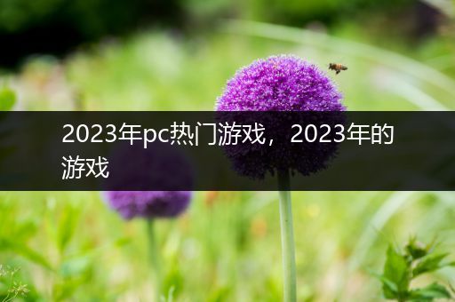 2023年pc热门游戏，2023年的游戏