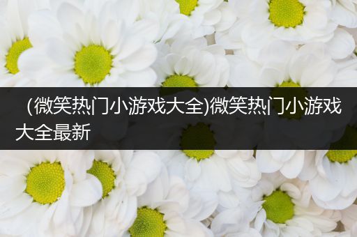 （微笑热门小游戏大全)微笑热门小游戏大全最新