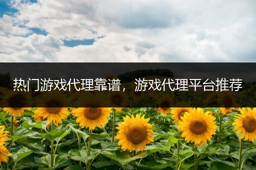 热门游戏代理靠谱，游戏代理平台推荐