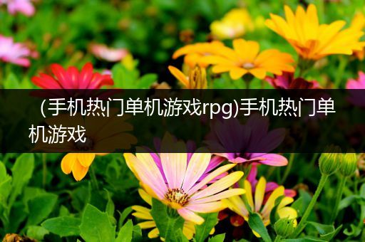 （手机热门单机游戏rpg)手机热门单机游戏