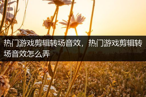 热门游戏剪辑转场音效，热门游戏剪辑转场音效怎么弄