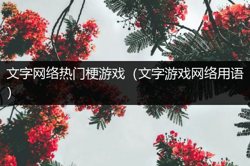 文字网络热门梗游戏（文字游戏网络用语）