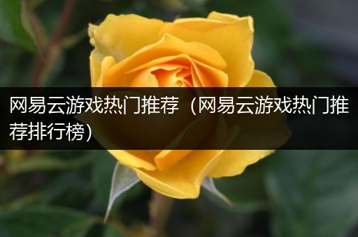 网易云游戏热门推荐（网易云游戏热门推荐排行榜）