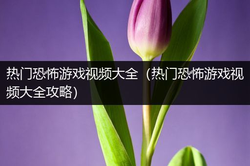 热门恐怖游戏视频大全（热门恐怖游戏视频大全攻略）