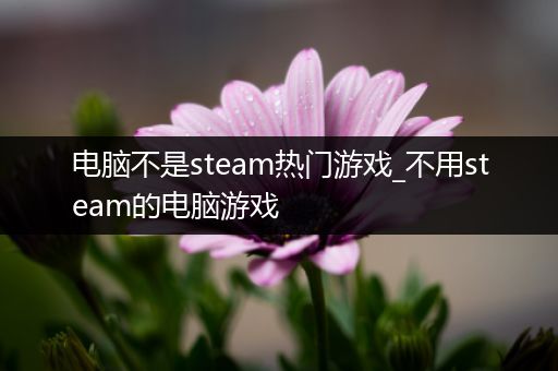 电脑不是steam热门游戏_不用steam的电脑游戏