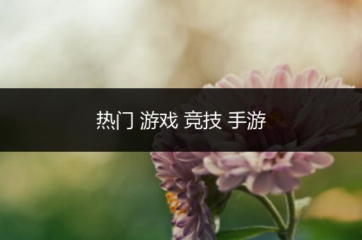 热门 游戏 竞技 手游