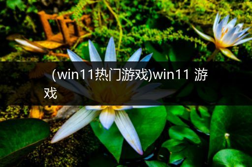 （win11热门游戏)win11 游戏