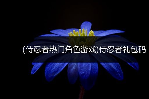 （侍忍者热门角色游戏)侍忍者礼包码