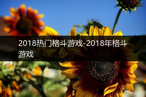 2018热门格斗游戏-2018年格斗游戏