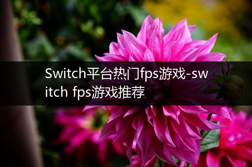 Switch平台热门fps游戏-switch fps游戏推荐