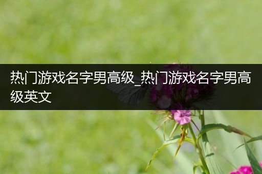 热门游戏名字男高级_热门游戏名字男高级英文