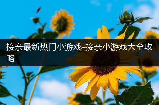 接亲最新热门小游戏-接亲小游戏大全攻略