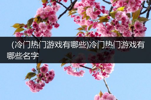 （冷门热门游戏有哪些)冷门热门游戏有哪些名字