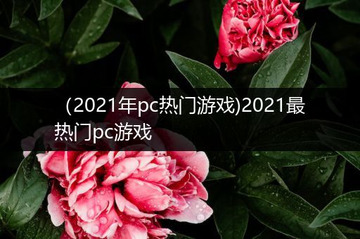 （2021年pc热门游戏)2021最热门pc游戏