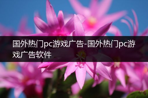 国外热门pc游戏广告-国外热门pc游戏广告软件