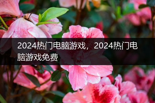 2024热门电脑游戏，2024热门电脑游戏免费