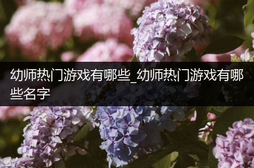 幼师热门游戏有哪些_幼师热门游戏有哪些名字