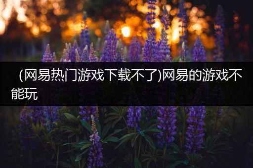 （网易热门游戏下载不了)网易的游戏不能玩