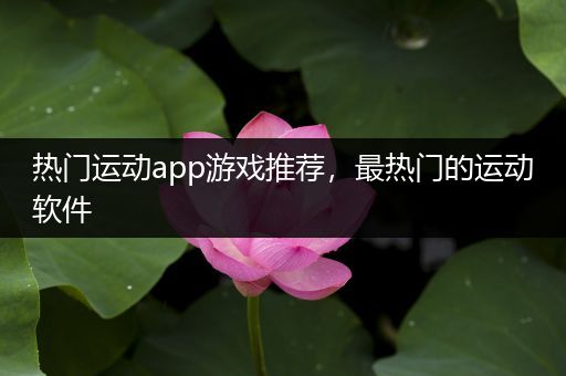 热门运动app游戏推荐，最热门的运动软件