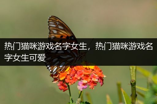 热门猫咪游戏名字女生，热门猫咪游戏名字女生可爱