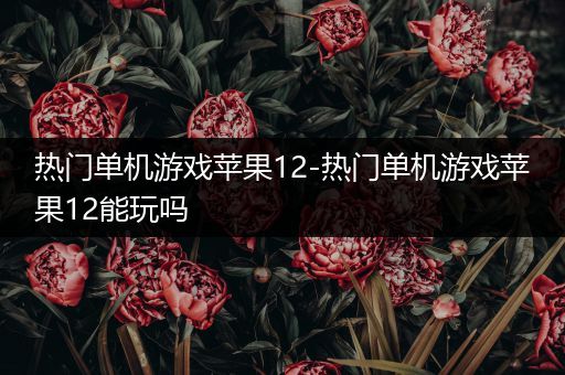 热门单机游戏苹果12-热门单机游戏苹果12能玩吗