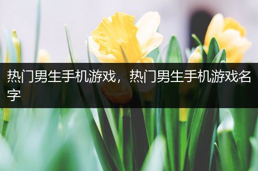 热门男生手机游戏，热门男生手机游戏名字