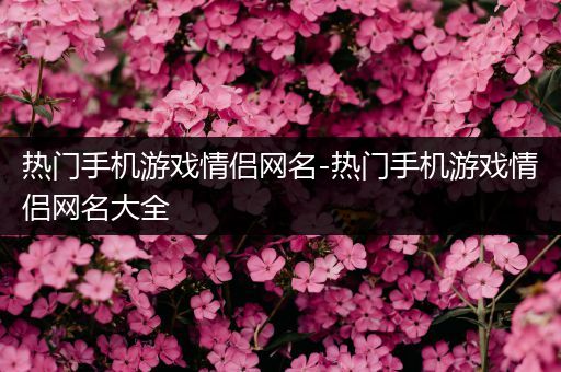 热门手机游戏情侣网名-热门手机游戏情侣网名大全