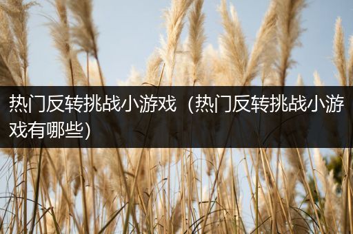 热门反转挑战小游戏（热门反转挑战小游戏有哪些）