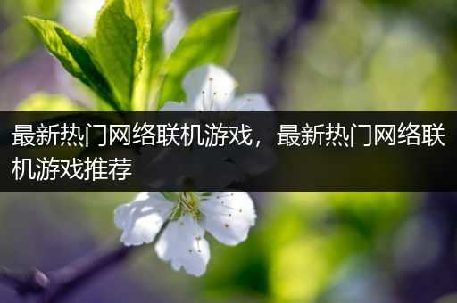 最新热门网络联机游戏，最新热门网络联机游戏推荐