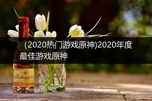 （2020热门游戏原神)2020年度最佳游戏原神