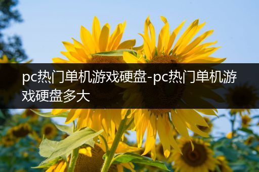 pc热门单机游戏硬盘-pc热门单机游戏硬盘多大