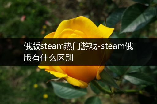 俄版steam热门游戏-steam俄版有什么区别