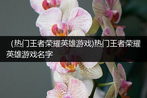 （热门王者荣耀英雄游戏)热门王者荣耀英雄游戏名字