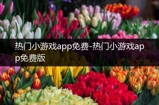 热门小游戏app免费-热门小游戏app免费版