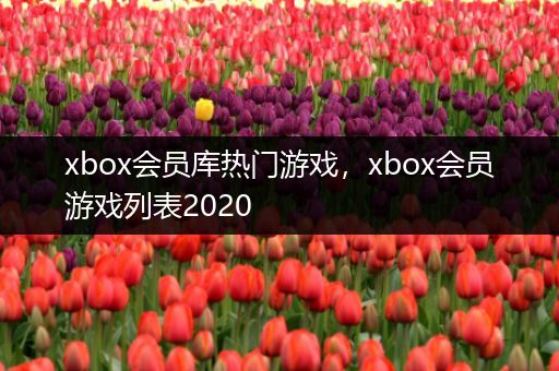 xbox会员库热门游戏，xbox会员游戏列表2020