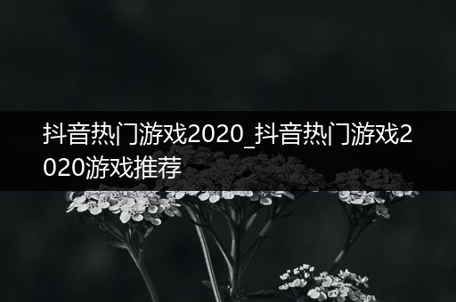 抖音热门游戏2020_抖音热门游戏2020游戏推荐