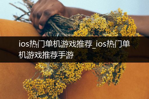 ios热门单机游戏推荐_ios热门单机游戏推荐手游