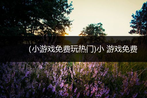 （小游戏免费玩热门)小 游戏免费