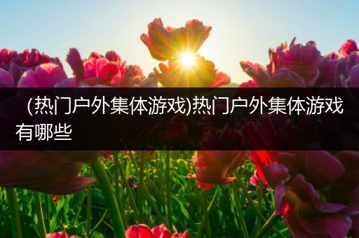 （热门户外集体游戏)热门户外集体游戏有哪些