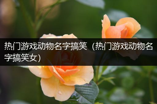 热门游戏动物名字搞笑（热门游戏动物名字搞笑女）