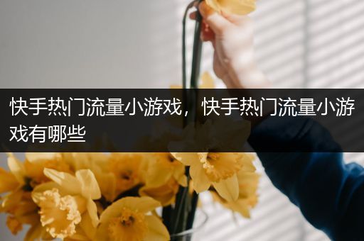 快手热门流量小游戏，快手热门流量小游戏有哪些