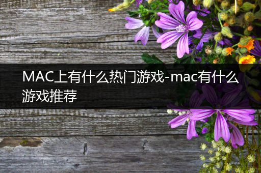 MAC上有什么热门游戏-mac有什么游戏推荐