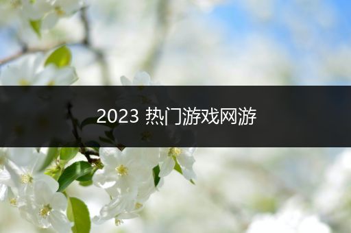 2023 热门游戏网游