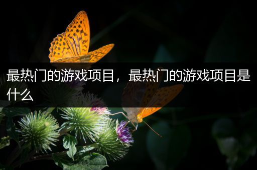 最热门的游戏项目，最热门的游戏项目是什么