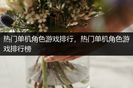 热门单机角色游戏排行，热门单机角色游戏排行榜