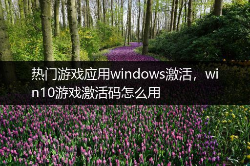 热门游戏应用windows激活，win10游戏激活码怎么用