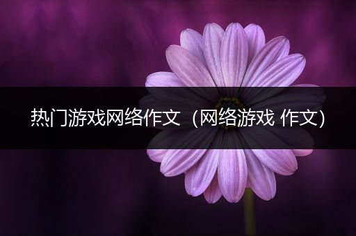 热门游戏网络作文（网络游戏 作文）