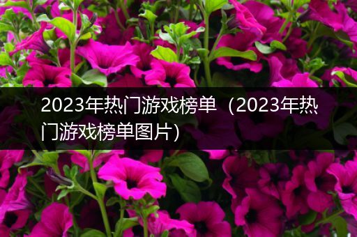 2023年热门游戏榜单（2023年热门游戏榜单图片）