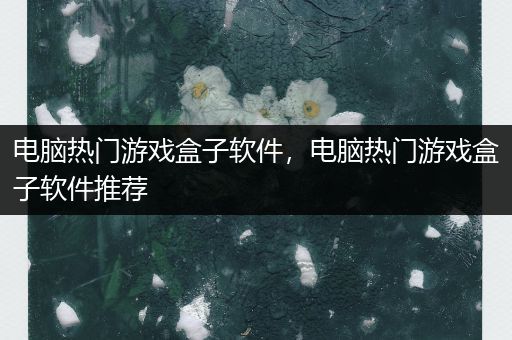 电脑热门游戏盒子软件，电脑热门游戏盒子软件推荐