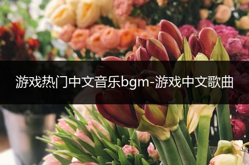 游戏热门中文音乐bgm-游戏中文歌曲